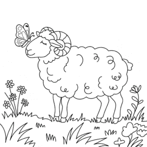 Ausmalbild Erwachsenes Schaf