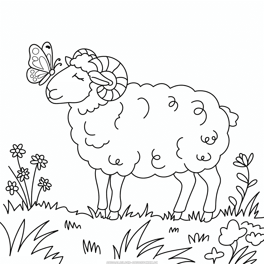 Ausmalbild Erwachsenes Schaf