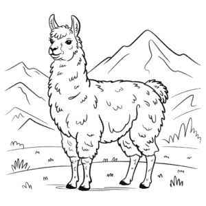 Ausmalbild Realistisches Lama