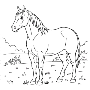 Ausmalbild Echtes Pferd