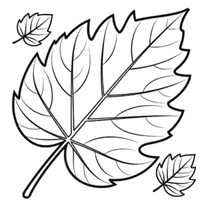 Ausmalbild Herbstblatt